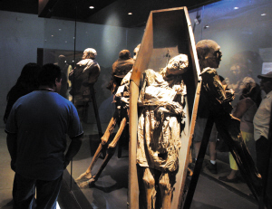 该博物馆保存着119具于1853年至1861年间出土的干尸,于1894年向公众