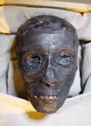 他有美丽的龅牙和一丝笑容