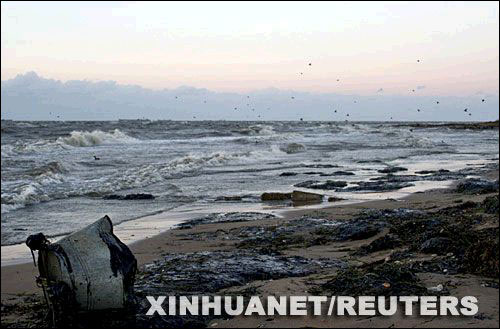 11月11日,油污污染了俄罗斯南部高加索港附近的刻赤海峡海滩.