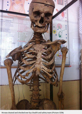 罗马尼亚小学校长在死后把自己做成人骨标本，供学生学习人体结构（图片来源网络）