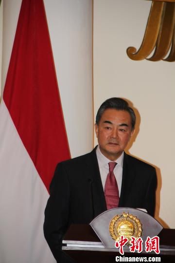 资料图：中国外交部长王毅。中国新闻网 顾时宏 摄