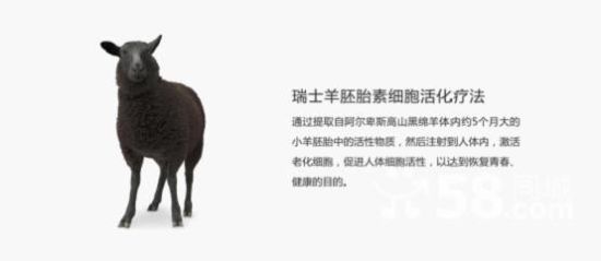 国内某推介机构的宣传广告