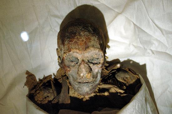 图文:埃及古物学者证实最著名女法老木乃伊(1)