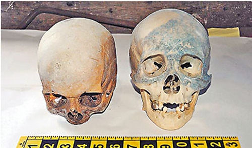美清洁工民宅内发现2具人头骨