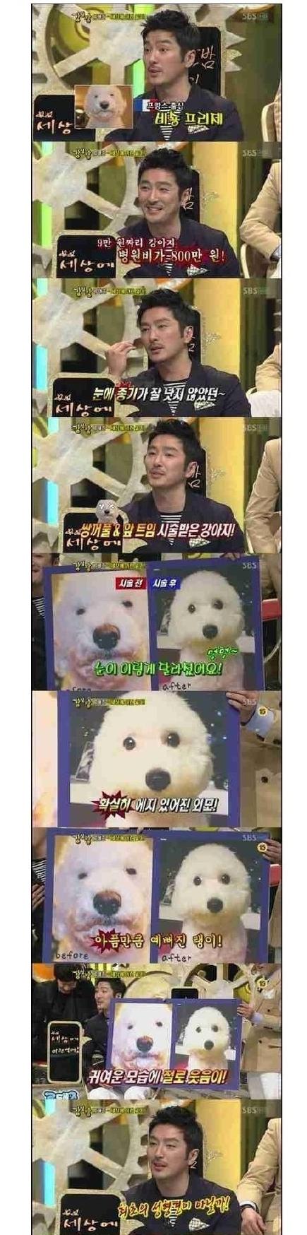 韩国演员刘泰俊上综艺节目自曝给宠物整容
