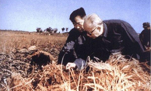 1977年6月，万里任中共安徽省委第一书记。图为万里在安徽农村考察。