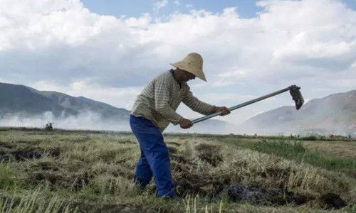 食品安全一直困扰着中国，但公众仍担心转基因安全