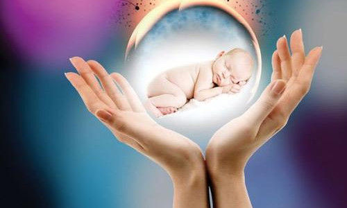 在不久的将来，有人可能会拥有来自三人的基因组