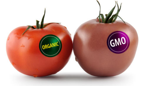 转基因的问题有几个层面