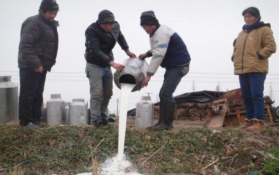 多地出现奶农倒奶杀牛事件
