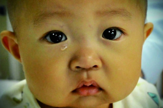 青岛弃婴小雪（网络资料）