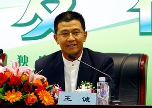 化名王诚的令完成