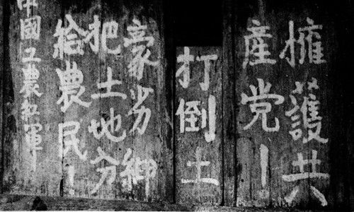 共享是不是将先富者的财富拿来分享，进行第二次“打土豪，分田地”