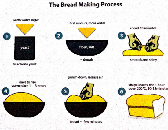 　　The information in the diagram below describes the bread making process。