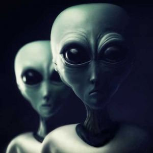 Alien 外星人