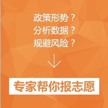 专家一对一报志愿