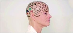 把头发剃光后，坎韦施请女助教在她的光头上画上大脑纹路，让同学更直观了解大脑结构。