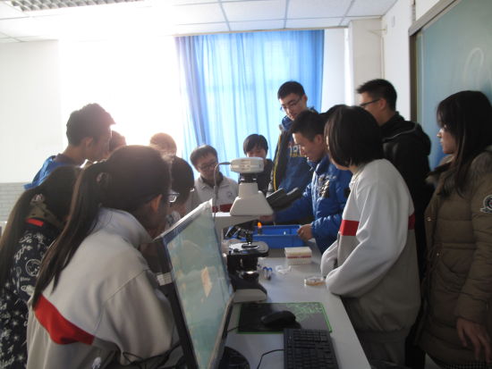 北京科技大学附属中学