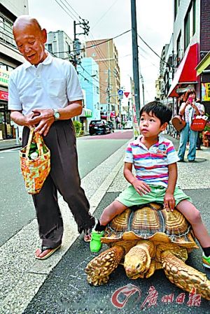  巨龟会把小孩驮在背上行走