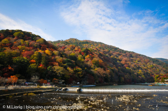 京都之美 来自秋与红叶的深情 手机新浪网 京都之美 来自秋与红叶的深情 手机新浪网