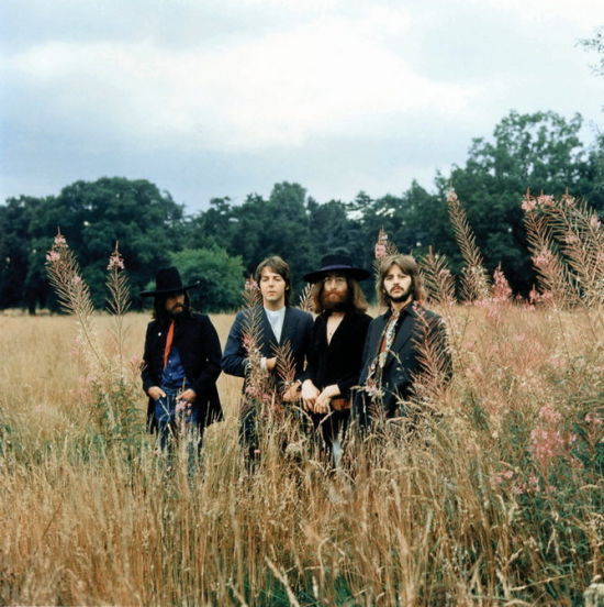 　　四个小伙在20多岁的时候组成了披头士乐队，当时他们还远未成熟，性格也尚未定型，这让他们能够以团体的形式生活和 工作。十年过去了，他们成长为完全不同的人，世界观也产生了巨大差异，于是他们渐行渐远