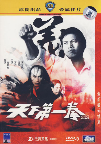 电影《天下第一拳》海报