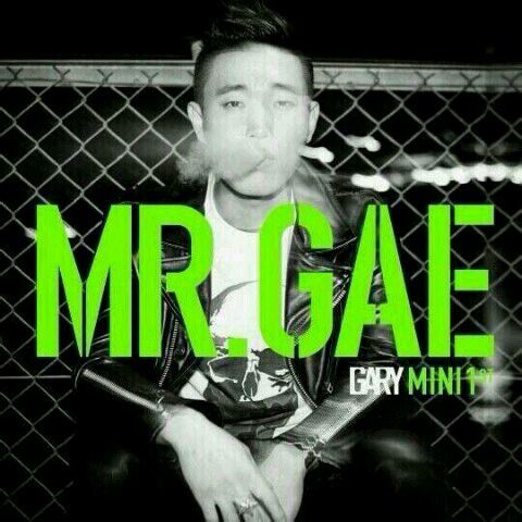 Gary新专辑《MR.GAE》封面
