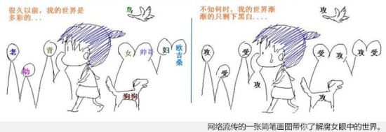 腐女的眼睛看世界