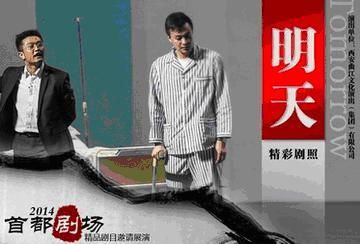 耶路撒冷之鸽