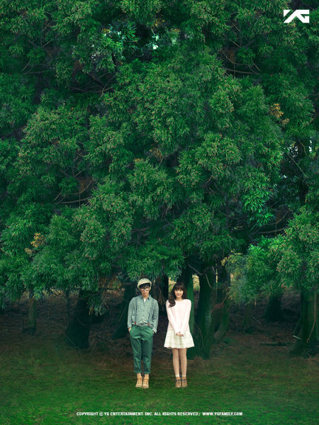 提到他们，最适宜描述的文字大概就是小学语文课本里的那段话：仿佛一切都是新的，绿绿的、脆脆的……