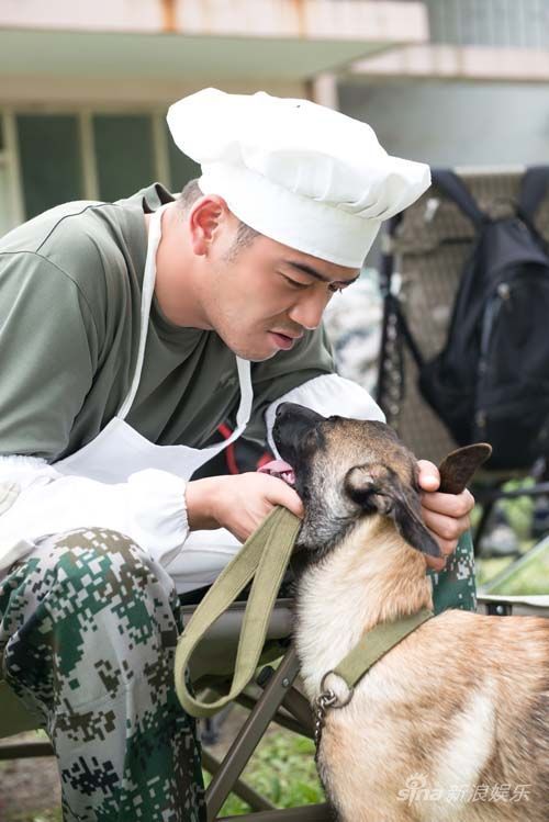 《神犬奇兵》多元风格受欢迎