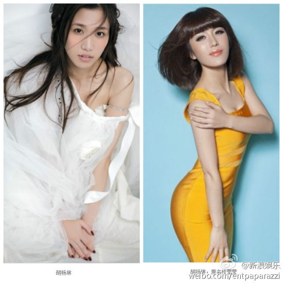 胡杨林和胡扬林