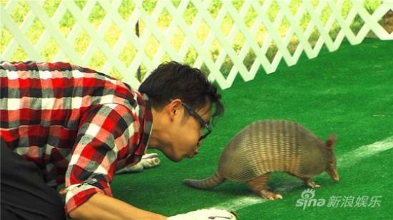 网友支招春晚:杨幂光脚跳芭蕾