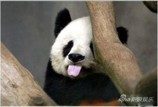 “你们在说什么好玩的事吗”