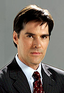 托马斯-吉布森饰演警官亚伦-胡奇纳