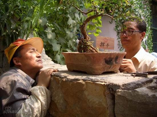 资料图片电视剧石榴花开精彩剧照9