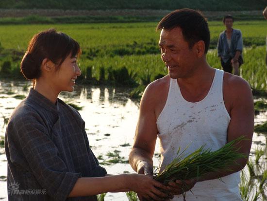 电视剧大地 新浪网