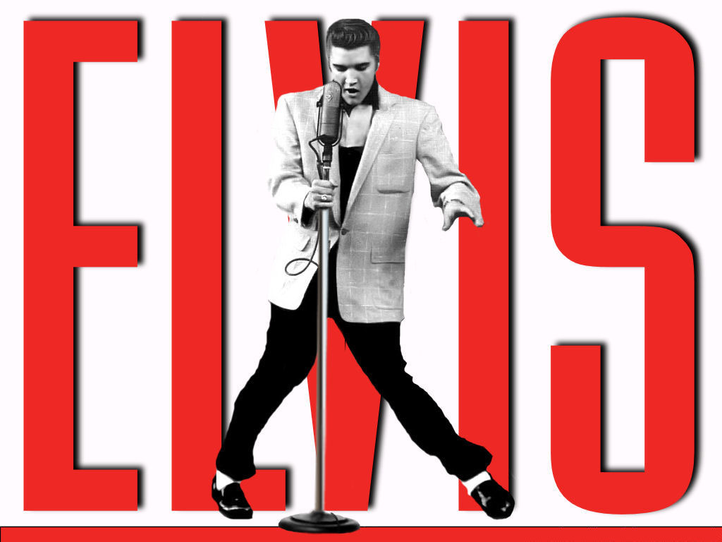 猫王壁纸下载猫王经典舞步