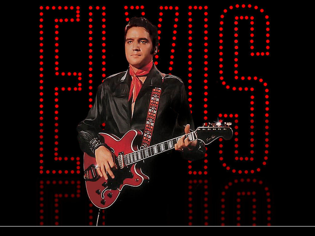 猫王壁纸下载时尚的猫王