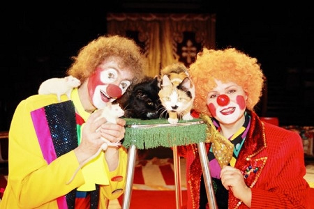 小丑与小白鼠、俄罗斯猫