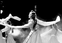 热情的舞蹈让观众感受到了浓浓的雪域风情