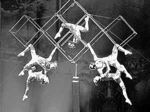 10多个国家的上百名技艺高超的演员和数百只“训练有素”的动物带来精彩表演。