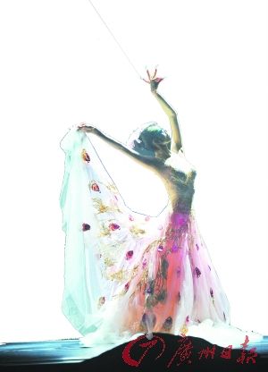 《雀之灵》依然经典。 