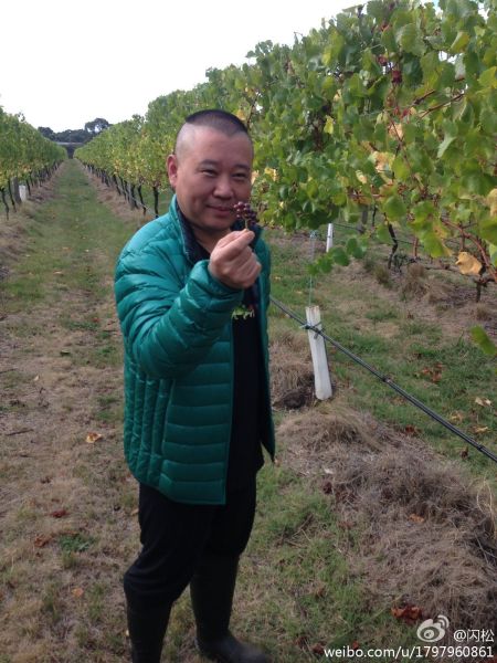 郭德纲澳洲逛庄园