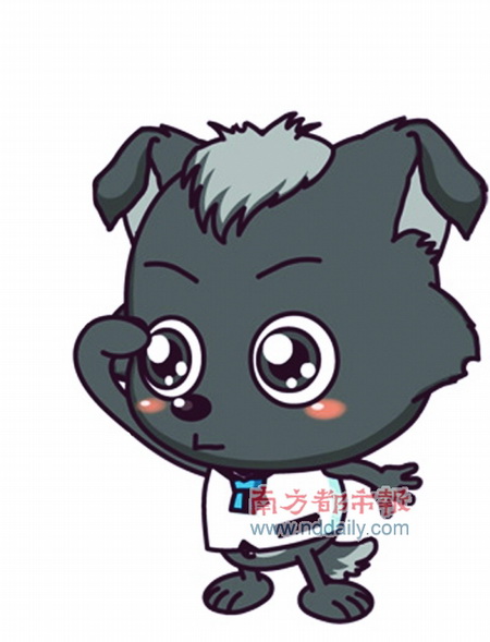 小灰灰