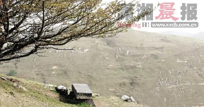 《山楂树之恋》之恋场景照