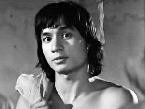 《少林五祖》（1974），主演傅声