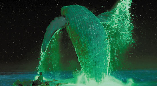 夜晚鲸鱼突然跃起的一幕十分震撼