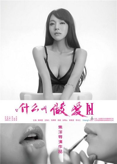 电影《什么叫做爱2》海报