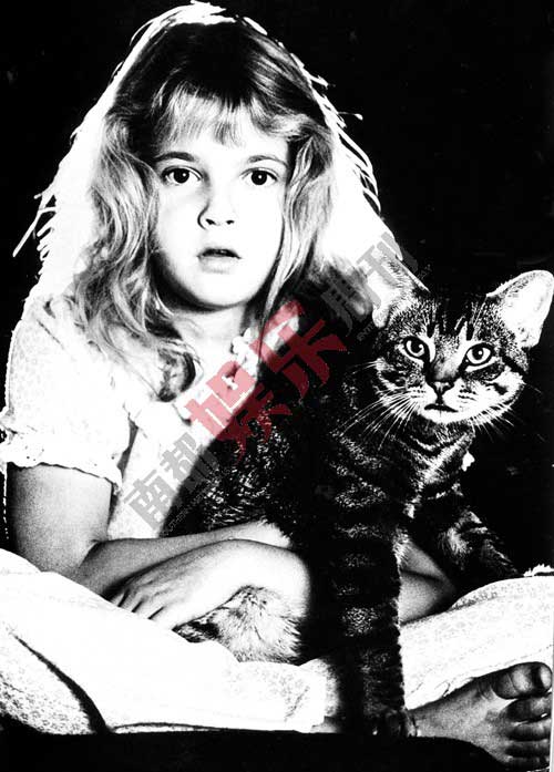 德鲁·巴里摩尔